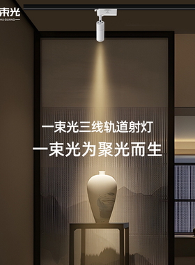 一束光聚光射灯小角度三线轨道灯明装客厅茶室艺术饰品博物馆氛围