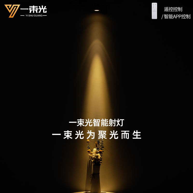 一束光聚光射灯智能嵌入式客厅家用吊顶茶室氛围餐厅玄关led筒灯
