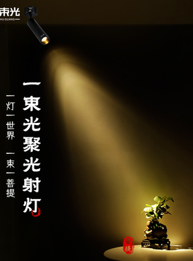 一束光聚光射灯小角度3度15度光束角复古茶室吧台可调led轨道明装