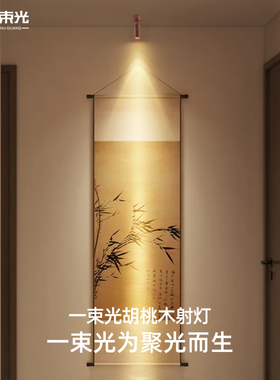 一束光聚光射灯胡桃木明装小角度3度15光束角覆古饭厅茶室KTV吧台