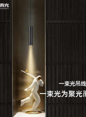 一束光聚光射灯小角度吊线 线升降明装客厅茶室玄关整体橱柜吧台