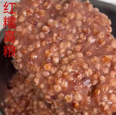 东北红糯高粱米新米白高粱米