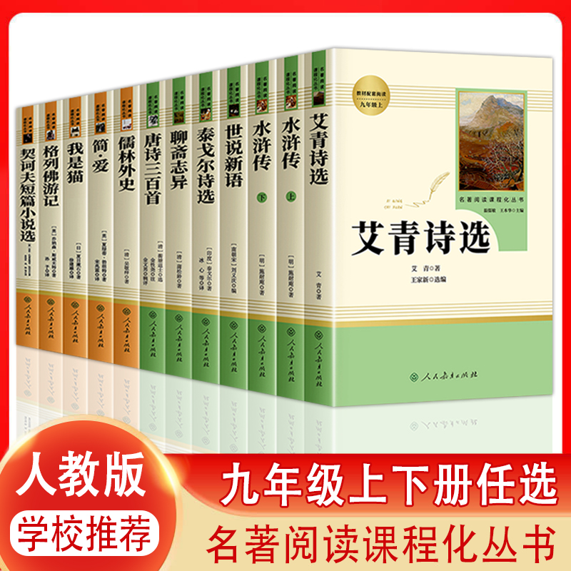 人民教育出版社九年级课内外阅读