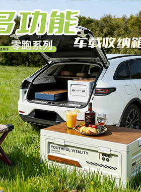 26款适用零跑C10后备箱C11收纳箱LAFA5车载T03B01用品C16配件B10