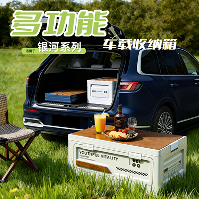 银河专用【多功能】收纳箱