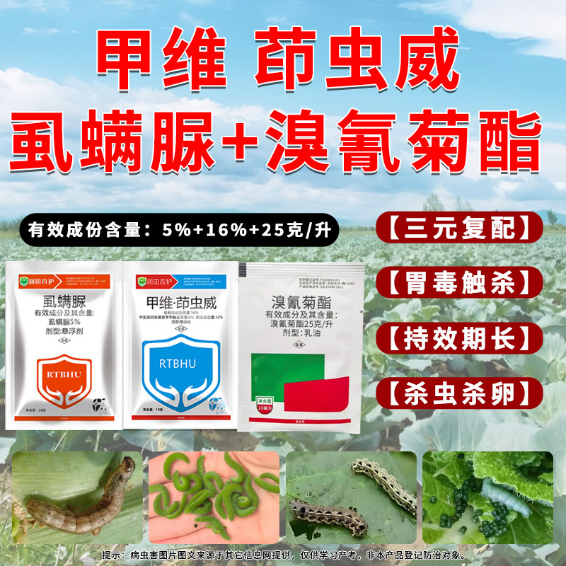 抗性虫杀虫剂棉铃虫棉蚜甜菜夜蛾