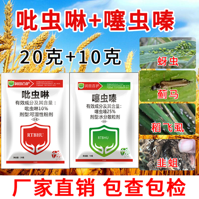 小麦水稻蚜虫蓟马飞虱小黑虫杀虫