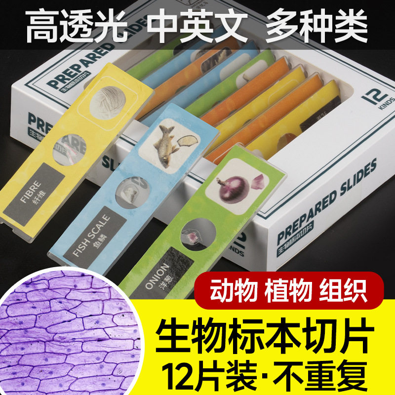 学优马显微镜生物切片红黄蓝绿四色儿童自制塑料标本12片盒装手工