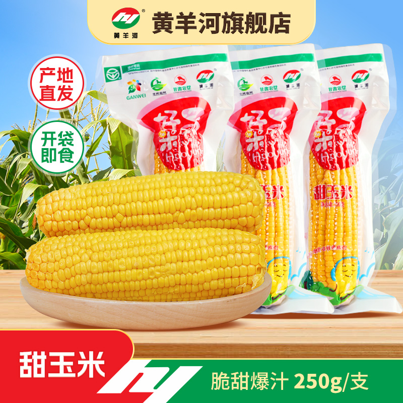甘肃黄羊河甜玉米根装水果