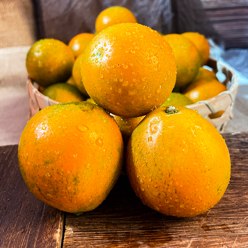 纯甜金桔四川凉山特产饱满多汁果肉脆嫩甜蜜化渣新鲜采摘外脆里甜