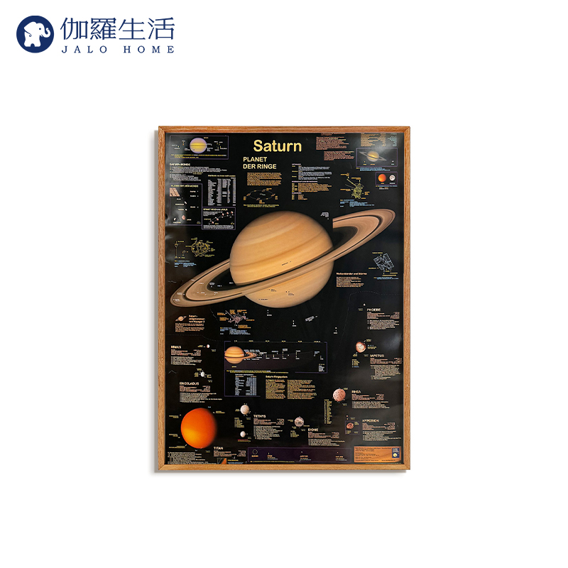 伽罗生活进口国外原版海报动物星球复古卧室背景墙创意海报装饰画图片