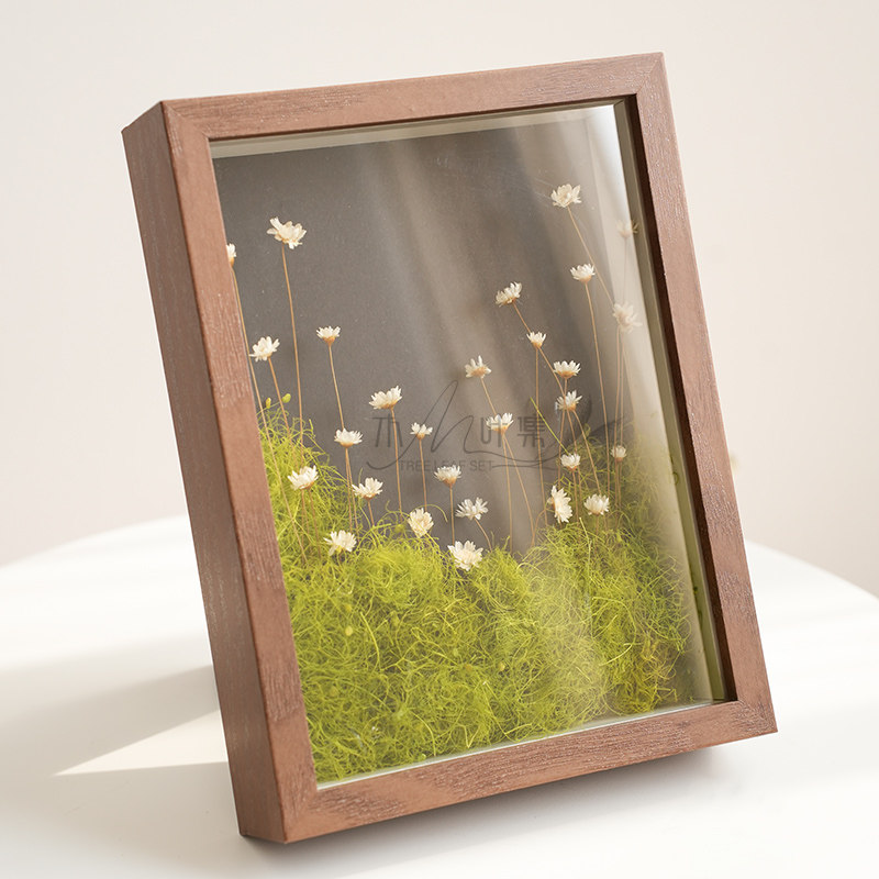 真花干花永生花相框植物家居装饰摆件墙面挂件小清新森系手作礼物,鲜花速递/花卉仿真/绿植园艺,干花,淘宝优惠券,粉丝福利购,淘宝优惠卷