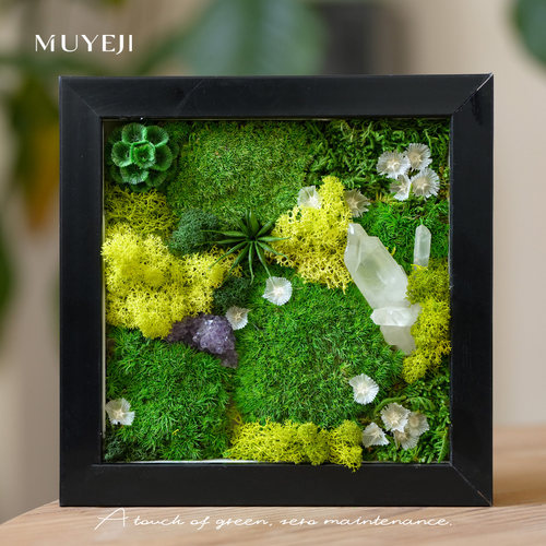 高级感永生花苔藓水晶装饰画精致绿色系手作治愈系摆件