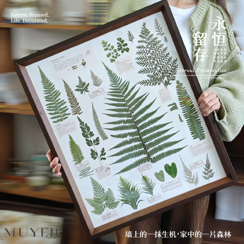 植物标本装饰画实木框干花