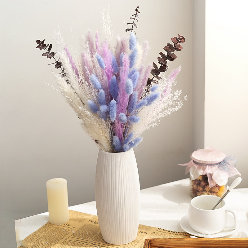 芦苇拂尘兔尾草干花花束家居装饰摆件ins网红客厅桌面干花摆件