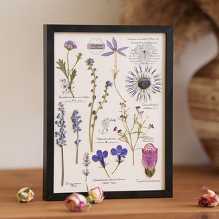 植物押花相框装饰画家居摆件创意手工礼物伴手礼