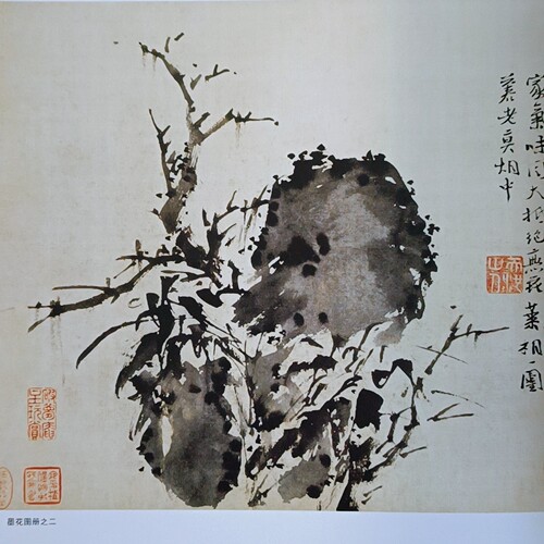 徐渭画集大写意水墨花鸟临摹范本