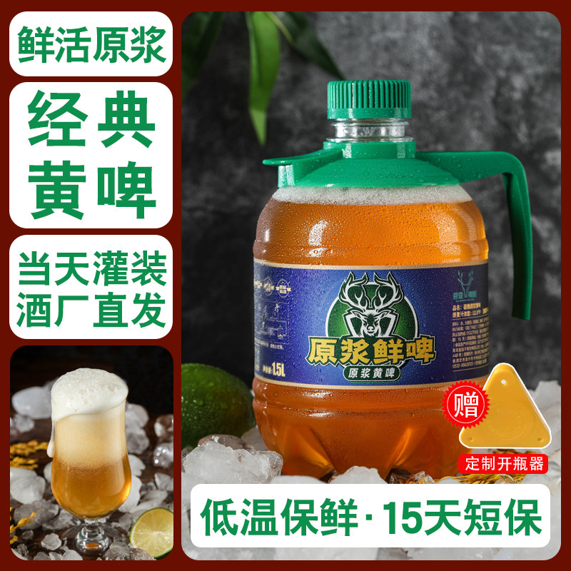黄啤鲜啤 1.5l 大桶装国产原浆精酿啤酒组合扎啤特价青岛风味