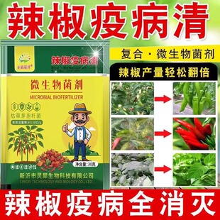 复合微生物菌剂辣椒疫病清辣椒卷叶炭疽黄叶枯萎根腐灰霉软腐病害
