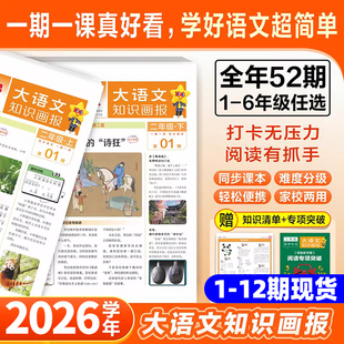 大语文知识画报少年报纸杂志2026年1-12期现货全年订阅52期天星教育小学生一二三四五六年级同步课本课文阅读一期一课课前预习知识
