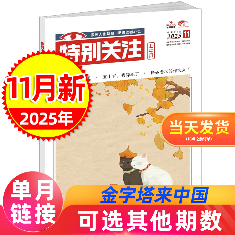 特别关注杂志2025/2024单本打包