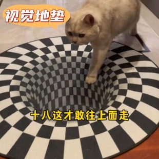 3D立体视觉镂空错觉眩晕地毯陷阱地垫家用玄关入户门垫耐脏地垫