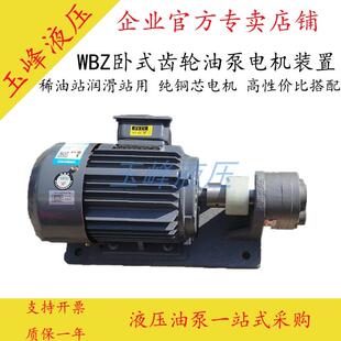 B40 包邮 B63JZ电机组3 B50 WBZ2齿轮油泵CB 40卧式 WBZ 新款