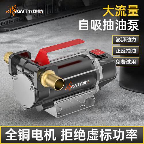 新款电动抽油泵12V24V220V伏柴油自吸泵计量加油枪小型包邮