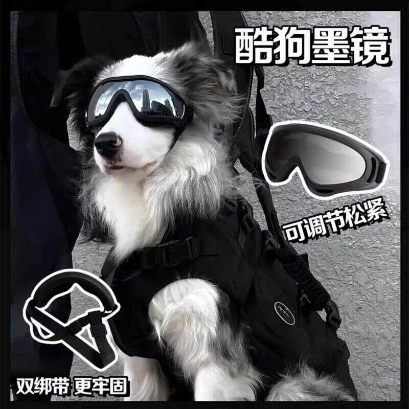 陨石边牧狗狗护目镜防风防紫外线头饰墨镜太阳镜宠物滑雪厂家