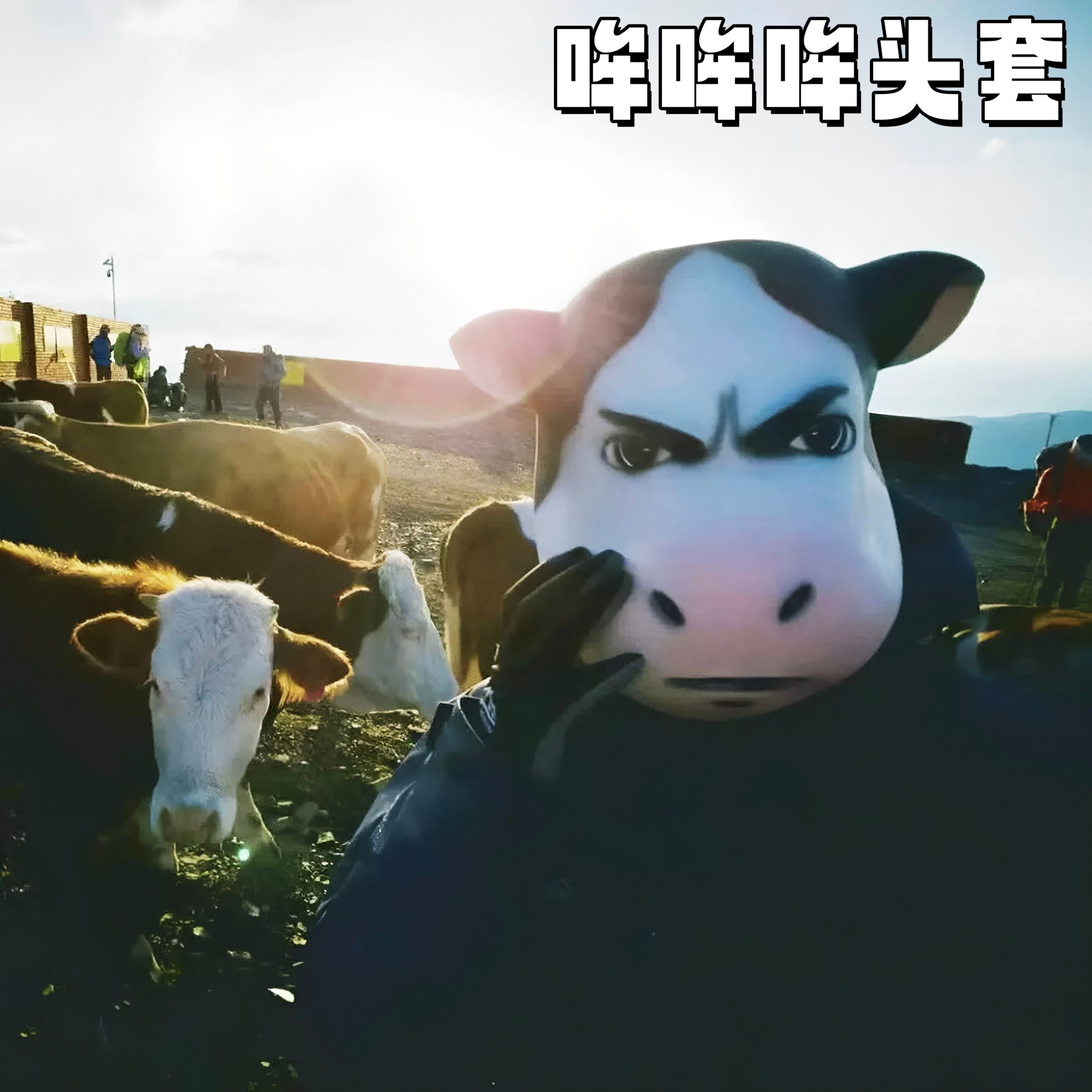 草地牛牛整蛊拍照面具