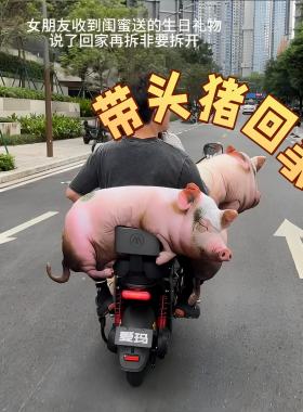 超大仿真猪猪抱枕陪睡礼物