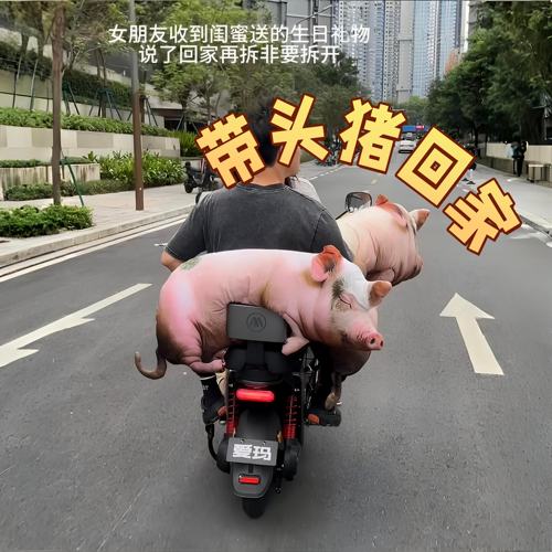 超大仿真猪猪抱枕陪睡礼物