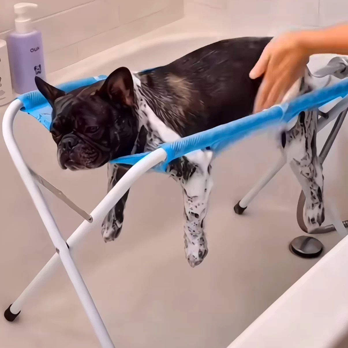 猫狗洗澡剪指甲防抓咬吊床