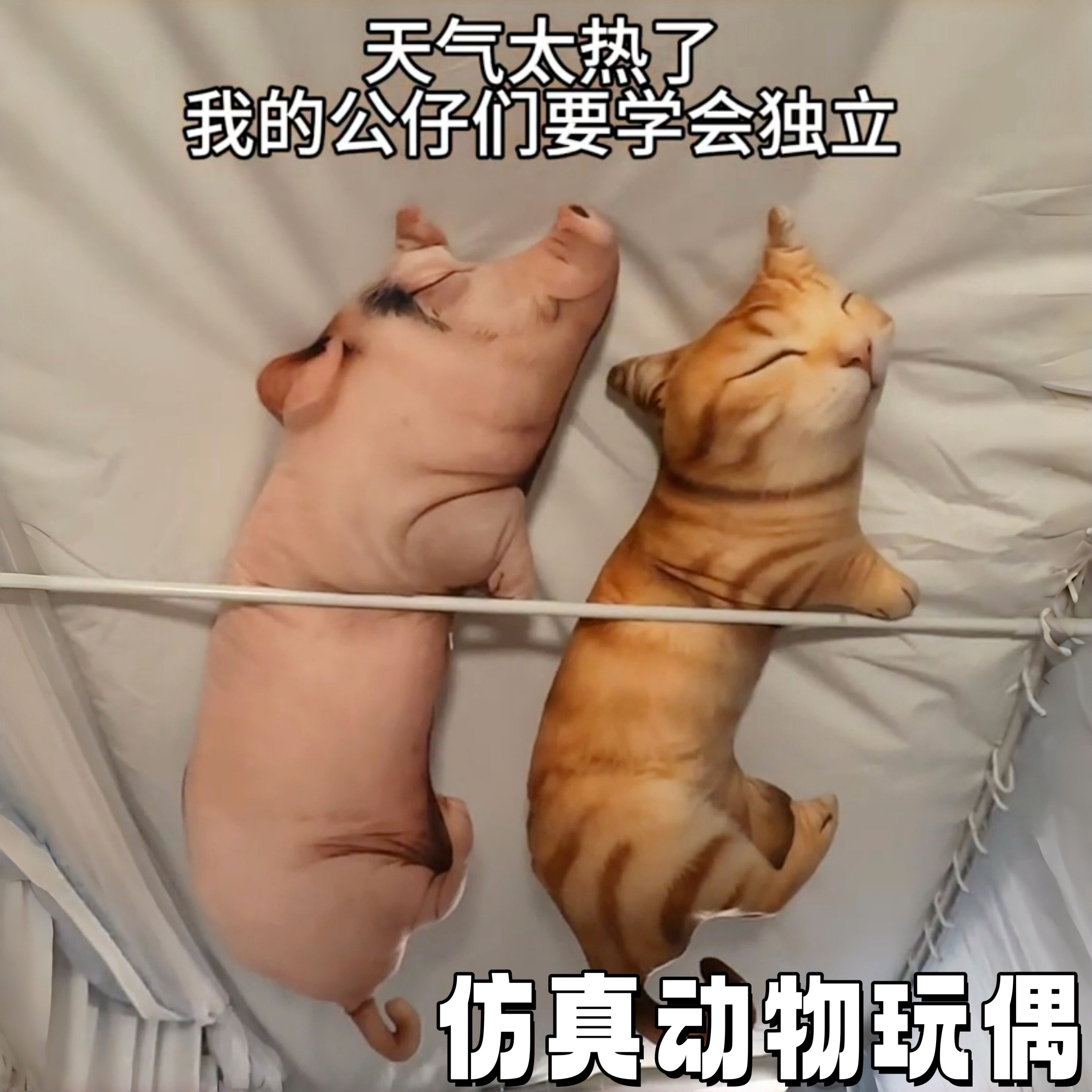 仿真猫小猪毛绒抱枕公仔哄睡