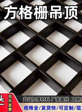 格栅吊顶集成装饰材料铁铝网格格子葡萄架自装木纹塑料简易天花板