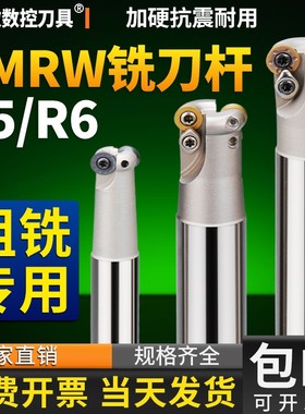 EMRW圆鼻铣刀杆抗震CNC数控刀具加硬1135铣刀杆BAP300R高精抗震型