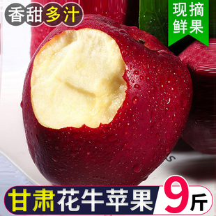 甘肃天水花牛苹果新鲜水果9斤整箱包邮糖心当季红蛇粉面平果丑果