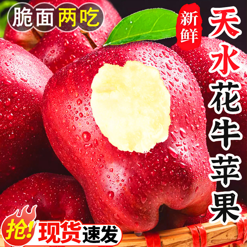 甘肃天水花牛苹果新鲜蛇粉面平果