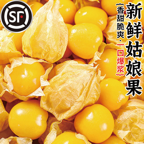 东北姑娘果5斤当季新鲜现摘