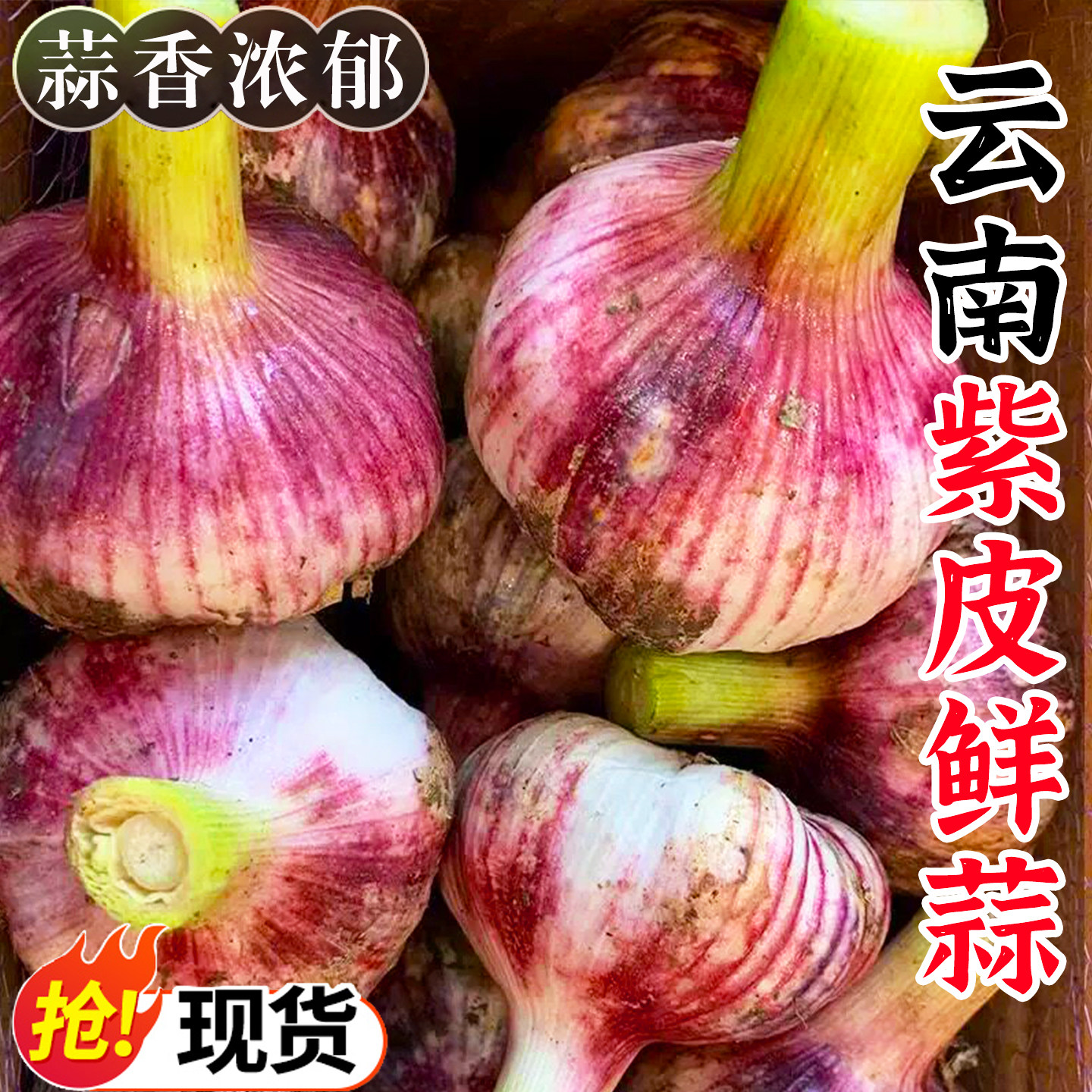 新鲜现挖大蒜头鲜蒜湿蒜2023年