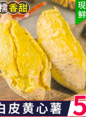 广东正宗潮汕白皮黄心板栗薯香甜粉糯现挖农家地瓜鸡蛋黄番薯包邮