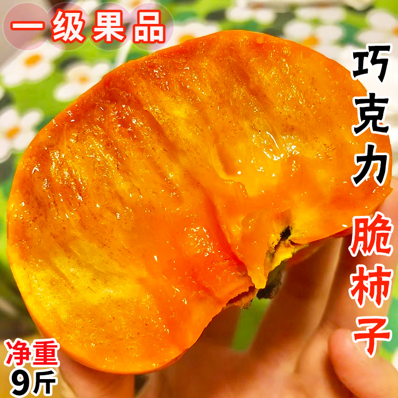 巧克力脆柿子9斤新鲜黄甜硬柿子