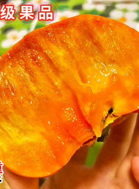 巧克力脆柿子9斤装新鲜水果当季黄甜硬柿子火晶特产整箱牛心柿子