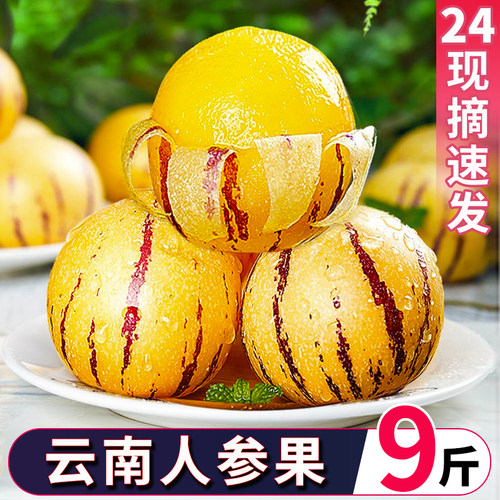 人参果新鲜云南七彩黄肉水果