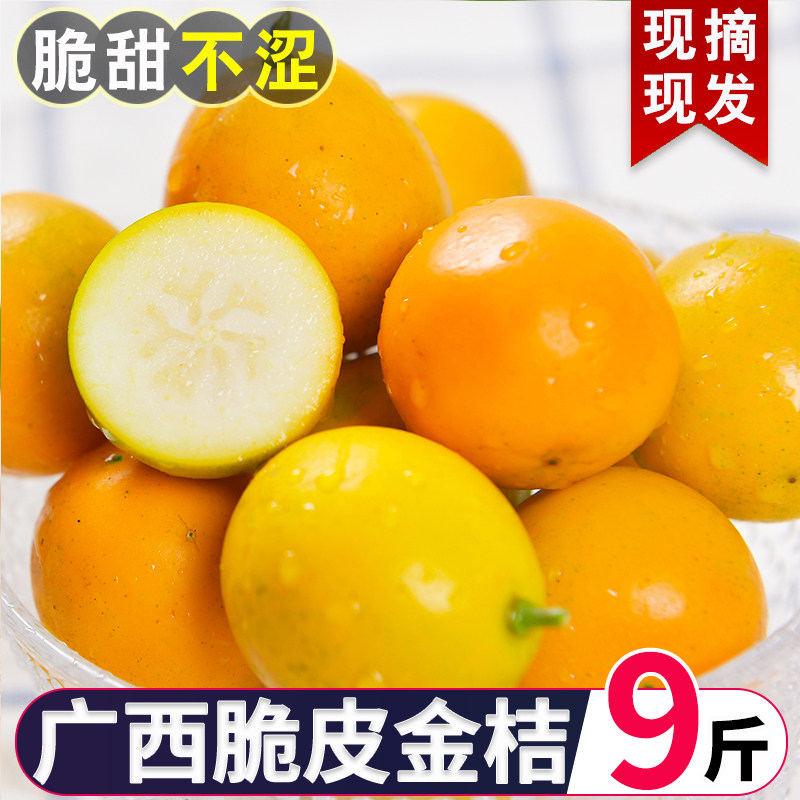 广西融安金桔9斤橘子当季时令水果新鲜脆皮金桔鲜果纯甜桔子金橘