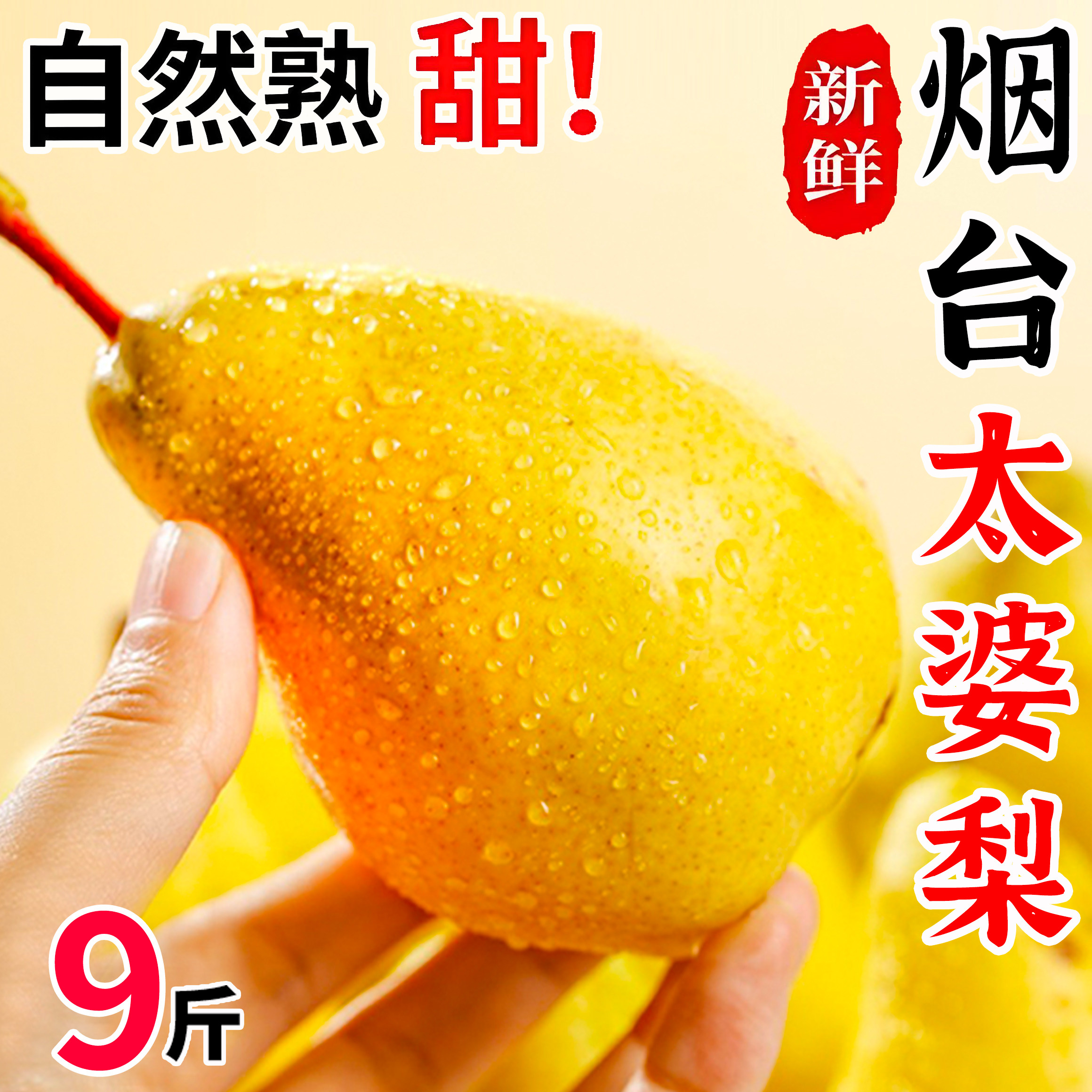 山东烟台太婆梨新鲜洋茄梨啤梨