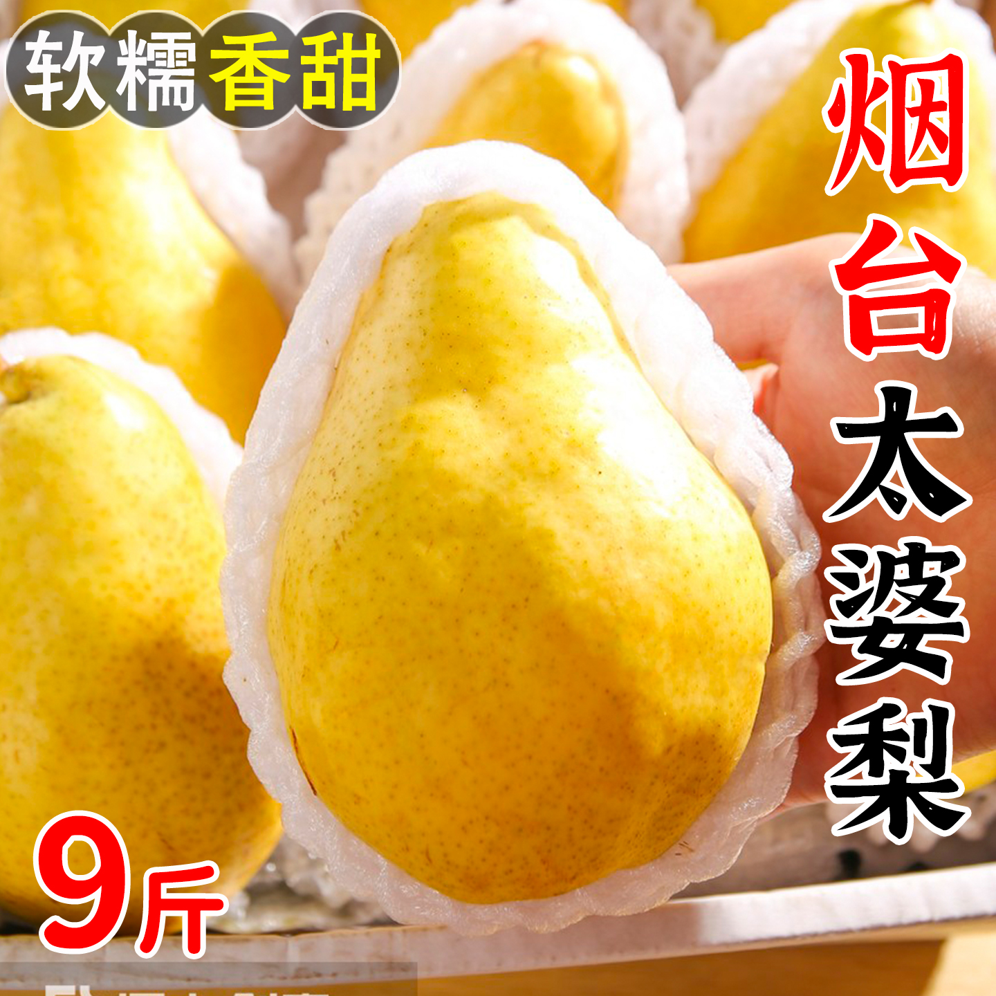 山东烟台太婆梨新鲜洋茄梨啤梨