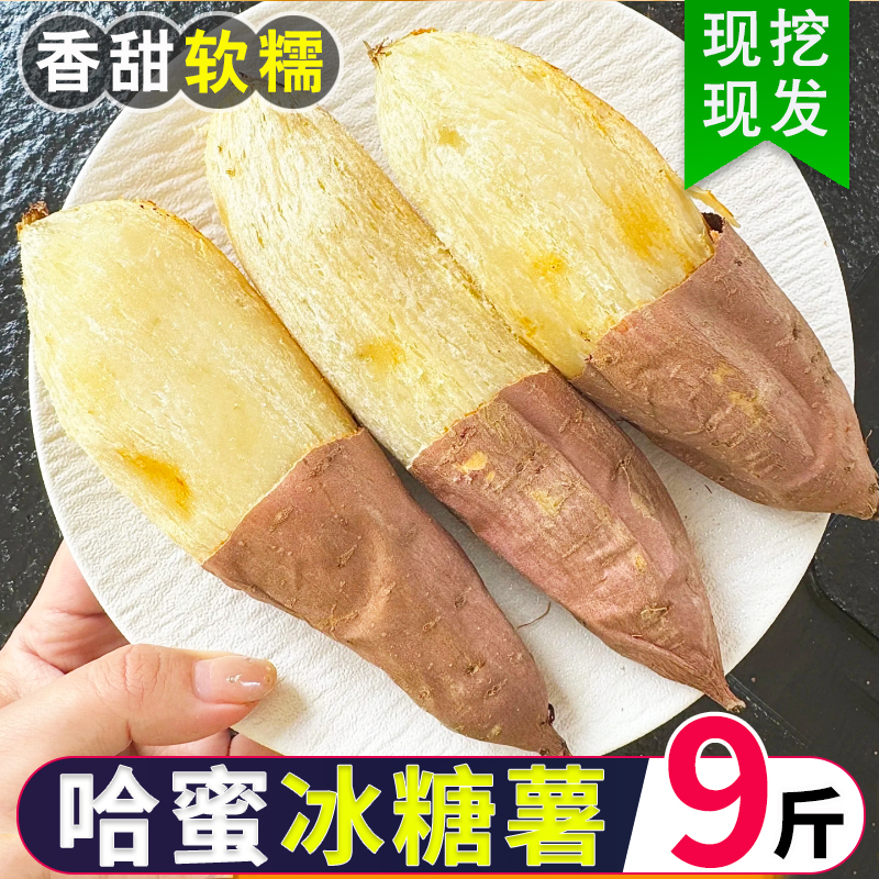 山东哈密冰糖薯新鲜白心蜜薯糖心