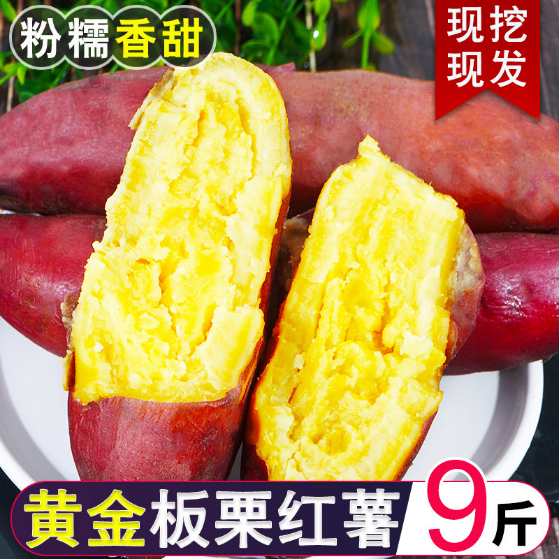 现挖新鲜粉糯黄心板栗薯番薯现挖