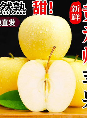 正宗黄元帅苹果新鲜水果粉面果刮泥果老品种黄金帅正宗黄香蕉苹果